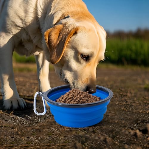 Image of Dog Bowl Pet Collapsible Bowls, 2 Pack Collapsible Dog Water Bowls for Cats Dogs, Portable Pet Feeding Watering Dish for Walking Parking Traveling with 2 Carabiners (Blue+Green, Medium)