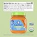 Gerber Stage 1 Baby Food, Organic Butternut Squash Jar, Baby Puree, Non-GMO, Vegetable, Puree Jars Glass, 10-pack