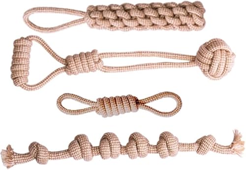 KryZarop 4 _Zbg B В + Rbglґg[v VRf /j/ނ qp XgX ybgpi