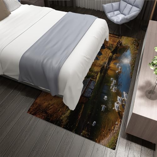 Tapis lavable antidérapant grand format pour zone humide - 4