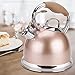 Chen Kettle Non-rusting steel silent kettle Kettle whistle gas electric stove universal thickening kettle (Color : Champagne)