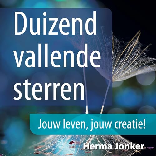 Duizend Vallende Sterren Audiolibro Por Herma Jonker arte de portada