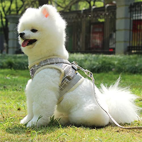 Eslinga para Perros, Collar para Cachorros y Gatos, Chaleco de Malla Transpirable, Chaleco Ajustable para Perros pequeños, Correa y Suministros para Mascotas