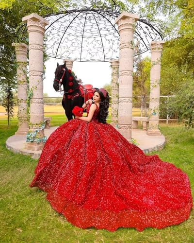 Zhangyo Glitter Sequin Quinceanera Dresses with Train Gorgeous V Neck Sweet 15 16 Dresses Princess Vestidos De 15 Años2