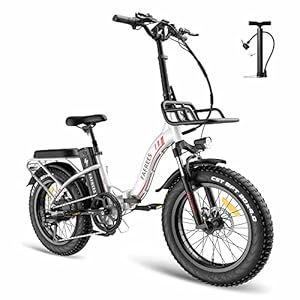 Elektrische fiets Fafrees F20 MAX, vouwbare stedelijke elektrische fiets, 20 * 4,0 inch fatbike heren eletrische…