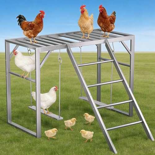 Chicken Swing Perch Set with Ladder - Backyard Chicken Coop Gym for Enrichment Exercise and Rest Durable Metal Frame with Composite Wood Silvery