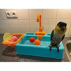 Gobabo Vogelbadkuip, zwembad voor papegaaien, badkuip vogelvoerbak automatische huisdierbadkuip met kraan, vogeldouche…
