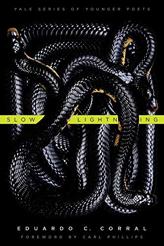 Slow Lightning (Yale Series of Younger Poets): Yale series of younger poets