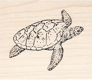 Creating Turtle Stamps: Python Shape Stamping Guide | PetShun