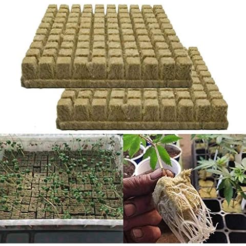 Eillybird Steinwolle Soilless Kultursubstrat Landwirtschaftliche Setzlinge Steinwolle Hydroponic Grow Block Propagation Cloning Seed Raising 25 25 40MM Cover