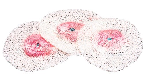 Belt Clip Assembly-Survivor