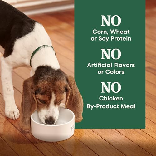 Nutro Natural Choice Puppy Dry Dog Food, Chicken & Brown Rice, 5 lb - image 7