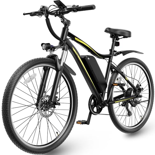 YOLOWAY 750W Electric Bike