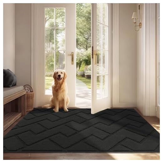 Biscpro Tapis de Porte Paillasson d'Entree Interieur et Extérieur 80 x 120 cm Tapis Antidérapant et Absorbant, Lavable, Tapis pour Intérieur, Extérieur, Chambre, Cuisine, Entrée, Couloir