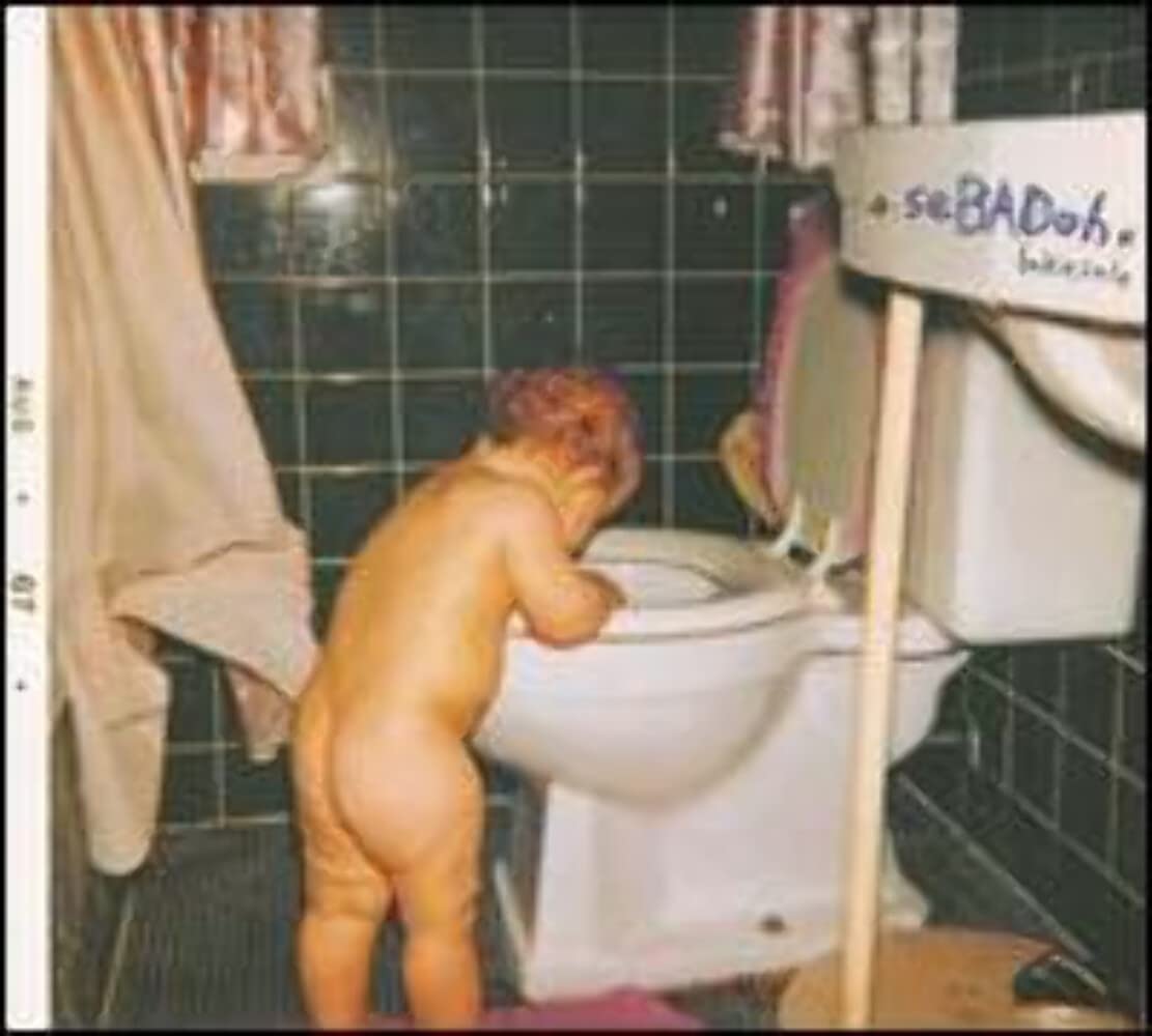SEBADOH - Bakesale (remastered) - Vinyl (LP + insert + MP3 download code)