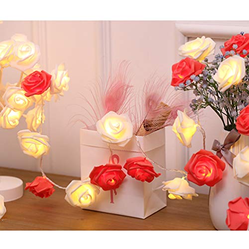 Indoor String Red Rose Lights, 20 Led Battery Operated Flower Hanging Lights for Valentine's Day Wedding Anniversary Spring Party Decorations, Teen Girls Bedroom Decor, Gift Idea (Red + White)