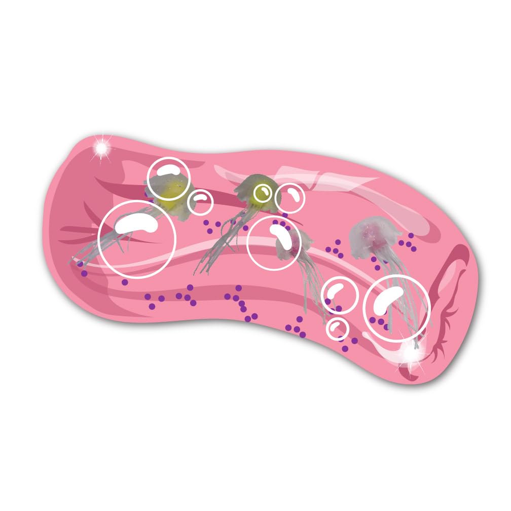 Wiggly Jiggly, Jellyfish from Deluxebase. Water Snake Fidget Toys for Stress & Anxiety Relief, Sensory Toy for Kids & Adults