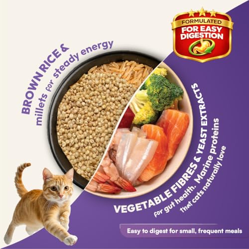 Image of DatGud Adult Dry Cat Food, 14 kg (7 kg + 7 kg Free), Chicken & Wild Fish with Antarctic Krill | Complete & Balanced Nutrition | Antioxidants for Immunity | Taurine for Heart & Vision | Easy to Digest