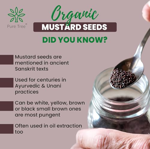 Image of Pure Tree Certified Organic Mustard Seeds Small | 5 Kg / 5000 g | Black Small Mustard Rai Seeds Small | Sasive seeds Whole Kali Rai Dana | Sarson dana Indian Spice Gluten Free