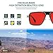 Trendy Retro Sunglasses for Men Women Classic Stark Vintage Shades 70s Italian Fashion Square Metal Glasses (Red Lens/Black Gold Frame, 56)