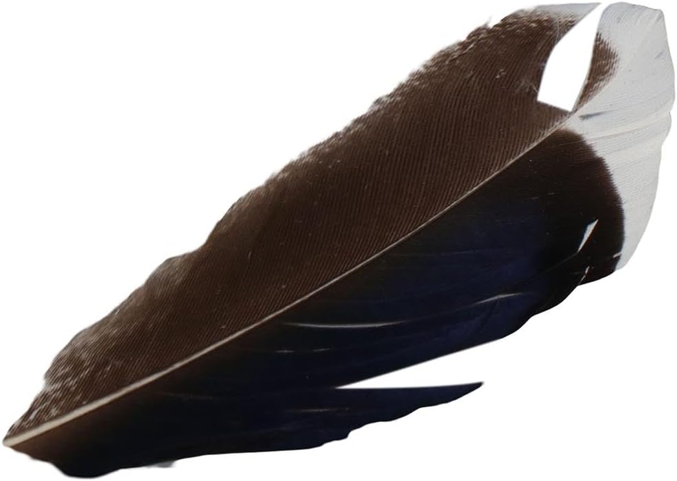 Uniquer 100Pcs Duck Feathers,Beautiful Decor Feathers for Crafts DIY,Feathers for Clothing Costumes Hair Hats Earrings Dream Catcher