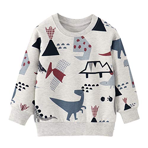 CM-Kid Sweatshirt Jungen Langarm Baumwolle Kinder Pullover Frühling Herbst Winter Tops 1 2 Jahre Hellgrau Bunt Dino Gr.92