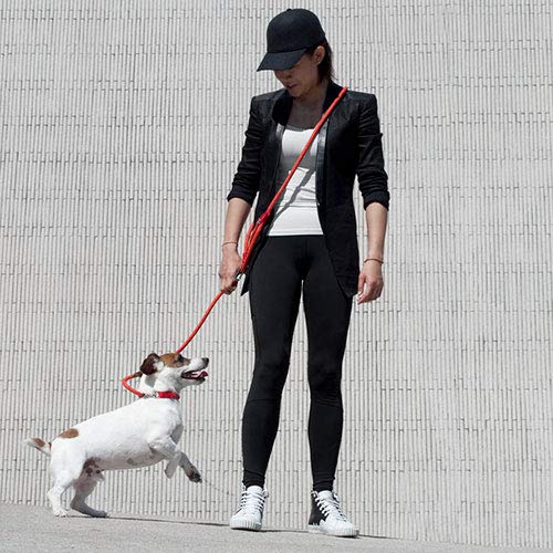 High5Dogs, Ergonomic Shoulder Lead for Dogs 250 cm, Modern and Stylish Design, Strong and Durable, Easy to Clean, Black, 7 mm - Image 4