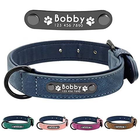 Didog Soft Leather Padded Custom Dog Collar with Personalized Nameplate and D Ring, Engraved Dog Collars for Small Medium Large Dogs,Blue,S Cover
