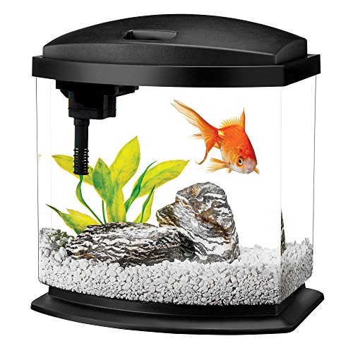 Aqueon LED Minibow Aquarium Kit Black