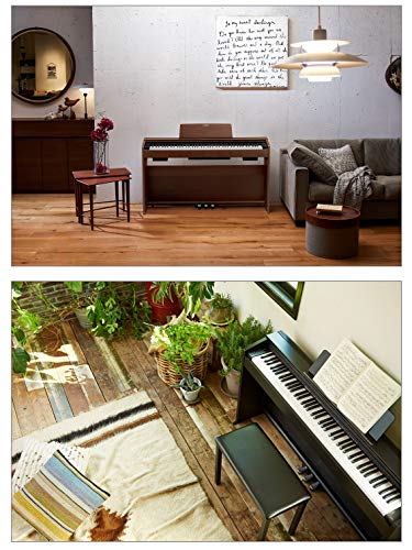 Casio px-870bk 88 Keys noir piano numérique – Clavier Électronique (20 W, 1393 mm, 299 mm, 801 mm, 34,3 kg, USB Type-A, USB Type-B) - Les Beatles, Paul McCartney, John Lennon, RIngo Starr, George Harrison Casio px-870bk 88 Keys noir piano numérique – Clavier Électronique (20 W, 1393 mm, 299 mm, 801 mm, 34,3 kg, USB Type-A, USB Type-B) – Image 5
