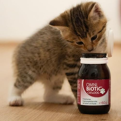 OMNi BiOTiC CAT & DOG | 60g | 2 Bakterienstämme | bis zu 7,5 Mrd. Keime Pro Tagesdosis | Pulver | Probiotisches Ergänzungsfuttermittel für Hunde und Katzen