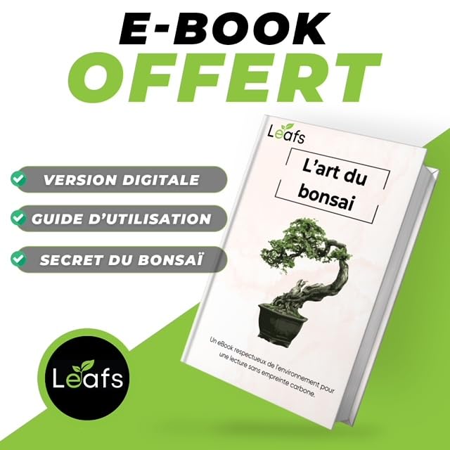 Kit Bonsai Plantation Coffret Cadeau Original Homme Femme Graines Glysines Pin Copalme Plantes Intérieur Extérieur