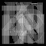 Alles Was Ich Noch Hab Sind Meine Kompetenzen [Vinyl LP]