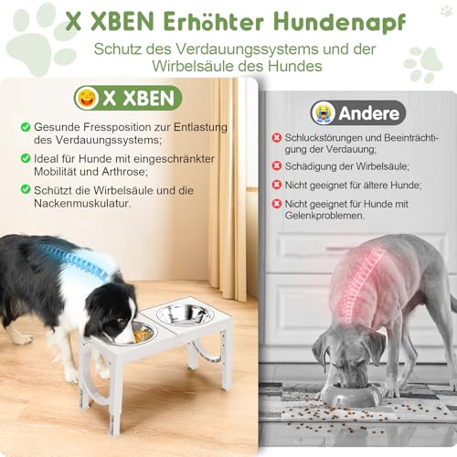 X XBEN Erhöhter Hundenapf, 5 Höhenverstellbar Futternapf für Kleine Mittlere Große Hunde, Futterstation 2 Große Eingedickte Edelstahlschalen, Rutschfester Hundenapf, BPA frei Plastik, Weiß