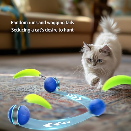 Speedy 2.0 Tail Interactive Cat Toys for Bored Indoor Adult Cats,Rechargeable Automatic Cat Toy Balls Self Moving Chirping,Electric Cat Ball Toy for Smart Kitten Enrichment Exercise Essentials(Blue) by ASNCIZBR - Image 9