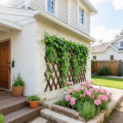Image of 2Pcs Expandable Garden Trellis, 38 inch x 89 inch Large Wooden Lattice Fence Wall Panel Lattice Trellis for Climbing Plants Outdoor Ivy Vine Rose Clematis for Garden Patio Room Decor (2Pcs Brown)