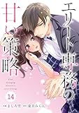 comic Berry’sエリート専務の甘い策略14巻 (Berry's COMICS)
