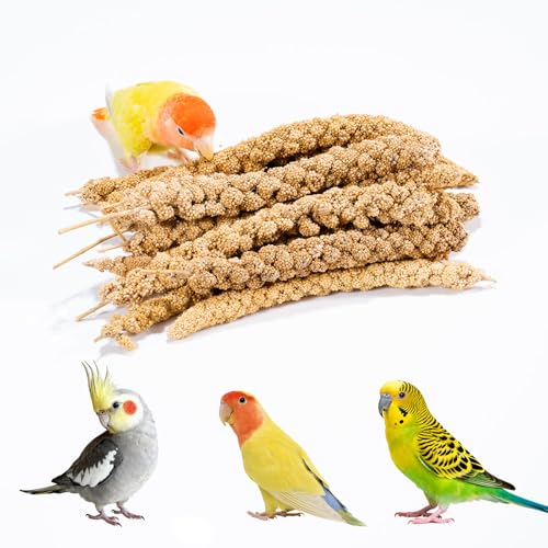 JOUSONTY 14 Oz Spray Millet Treat for Bird, for Parrot, Budgies, Parakeets, Cockatiels, Finches,...