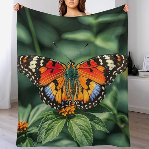 Couverture en flanelle douce plaid léger imprimé papillon canapé