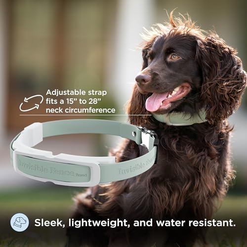 PetSafe Invisible Fence GPS Dog Fence & Tracking Collar Bundle - Wireless GPS Tracker Collar with Red Training Flags & Treat Bag - Waterproof - Medium & Large Dogs - 1 Year Subscription Included - Image 5