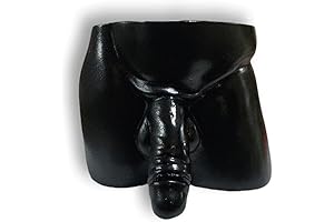 Funny Penis Planter Pot