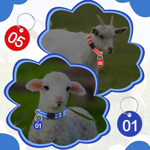 Image of Foilswirl 12 Pack Goat Collars with Number Tag Adjustable Nylon Livestock Collar with No. 01-12 ID Number Tags Sheep Collars Set for Small Livestock Farm Animal Goat Sheep Cow (Reflective)
