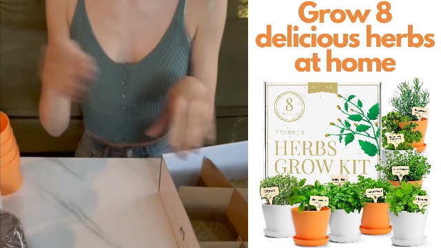 HOME GROWN Gift Herb Kit – 8 Herb Seeds Set with Basil, Cilantro, Mint & More, Complete Indoor Grow Kit for Kitchen, Gardening Gifts for Women & Men, Ideal for Cooking & Home Décor