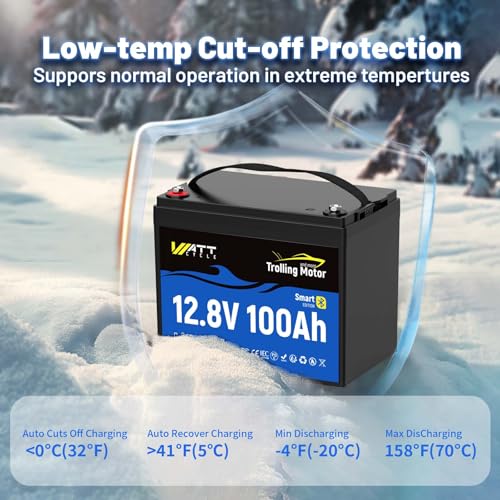 Image of Wattcycle 12V 100Ah LiFePO4 Battery with 120A BMS IP67 Bluetooth