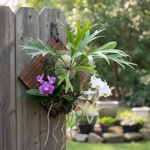 Dranvosk Staghorn Fern Mounting Board Kit Wooden Wall Planter Hanging