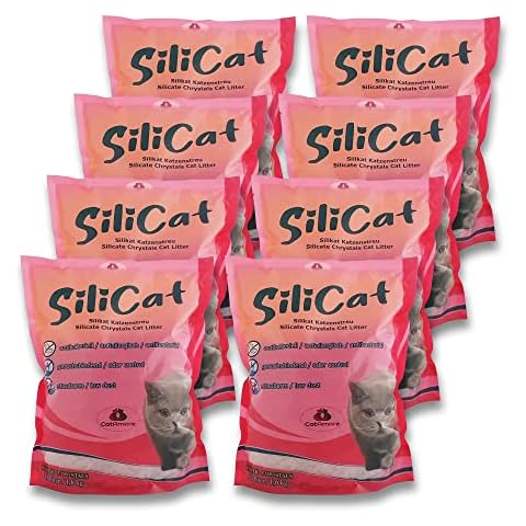 CatAmore Silicat 8 x 3,8 l = 30 Liter Silikat Katzenstreu Cover