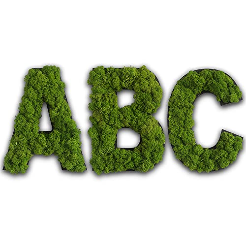 Moosbild Stylegreen Piktogramm Buchstabe S Aus Islandmoos