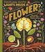 What's Inside A Flower?: And Other Questions About Science & Nature
