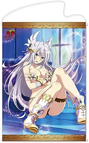 Amazon ハイスクールd D Born B2タペストリー ロスヴァイセ アニメ 萌えグッズ 通販