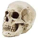 Kurtzy B00KHHW2FW lato 4